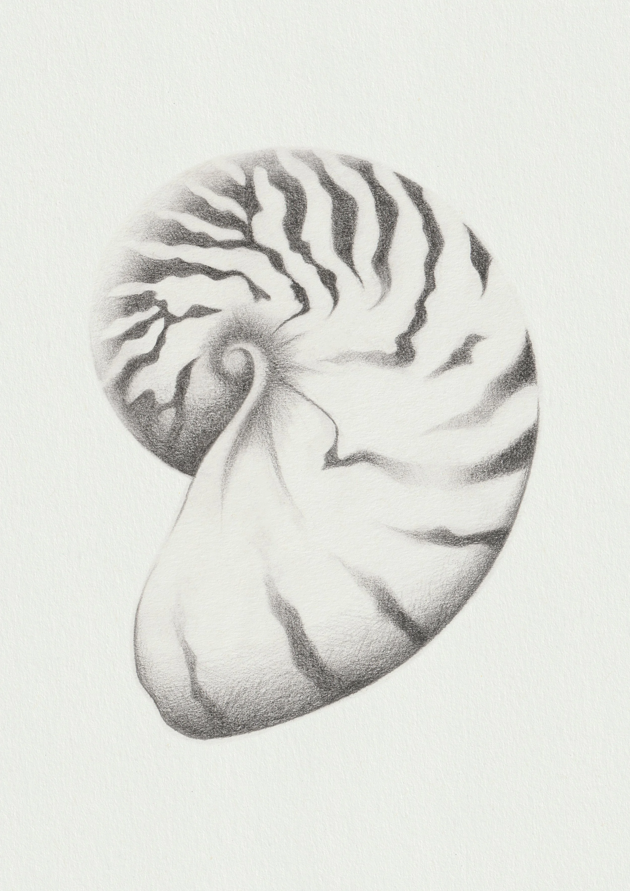 A3 without border.jpg