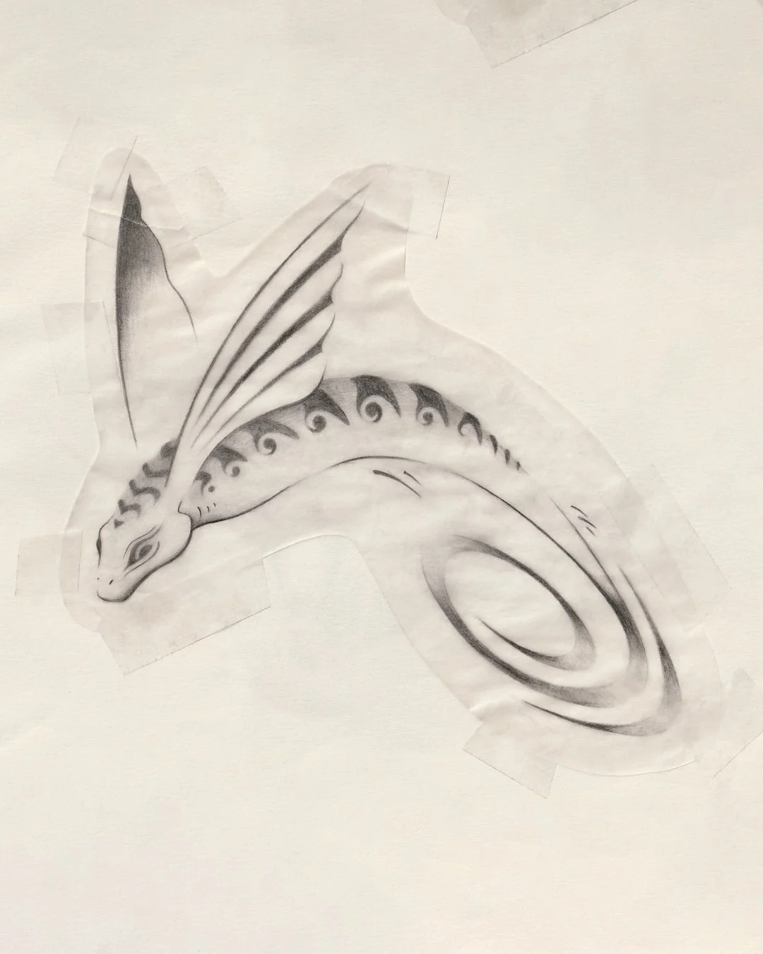 Flying fish more fins copy.JPG