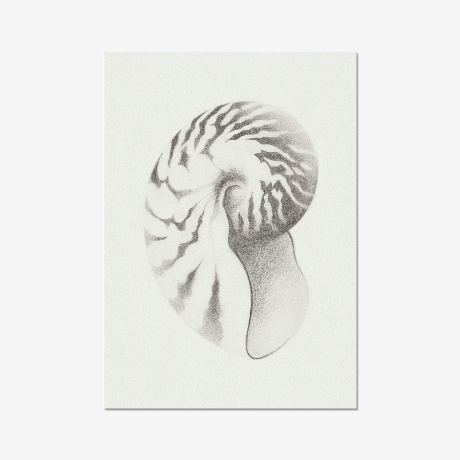 Nautilus one