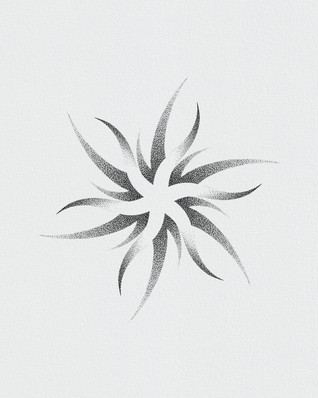 IMG_4517.PNG
