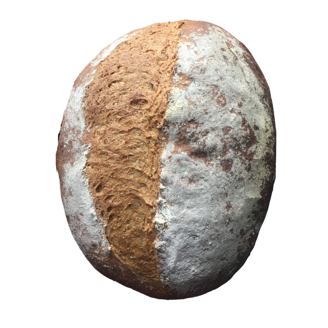 wholemeal_imnoback.png