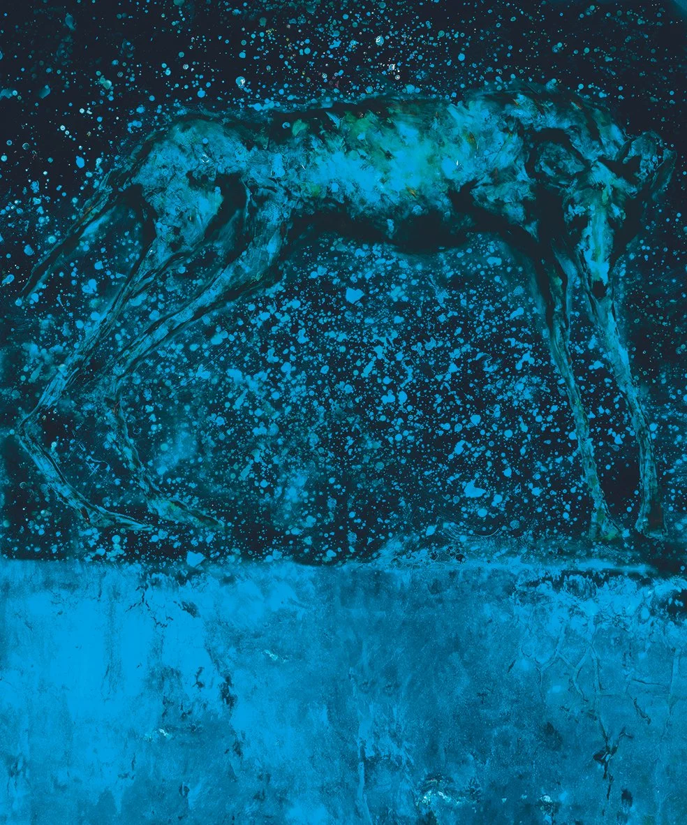 BLUE NIGHT WILD DOG - M31.jpg