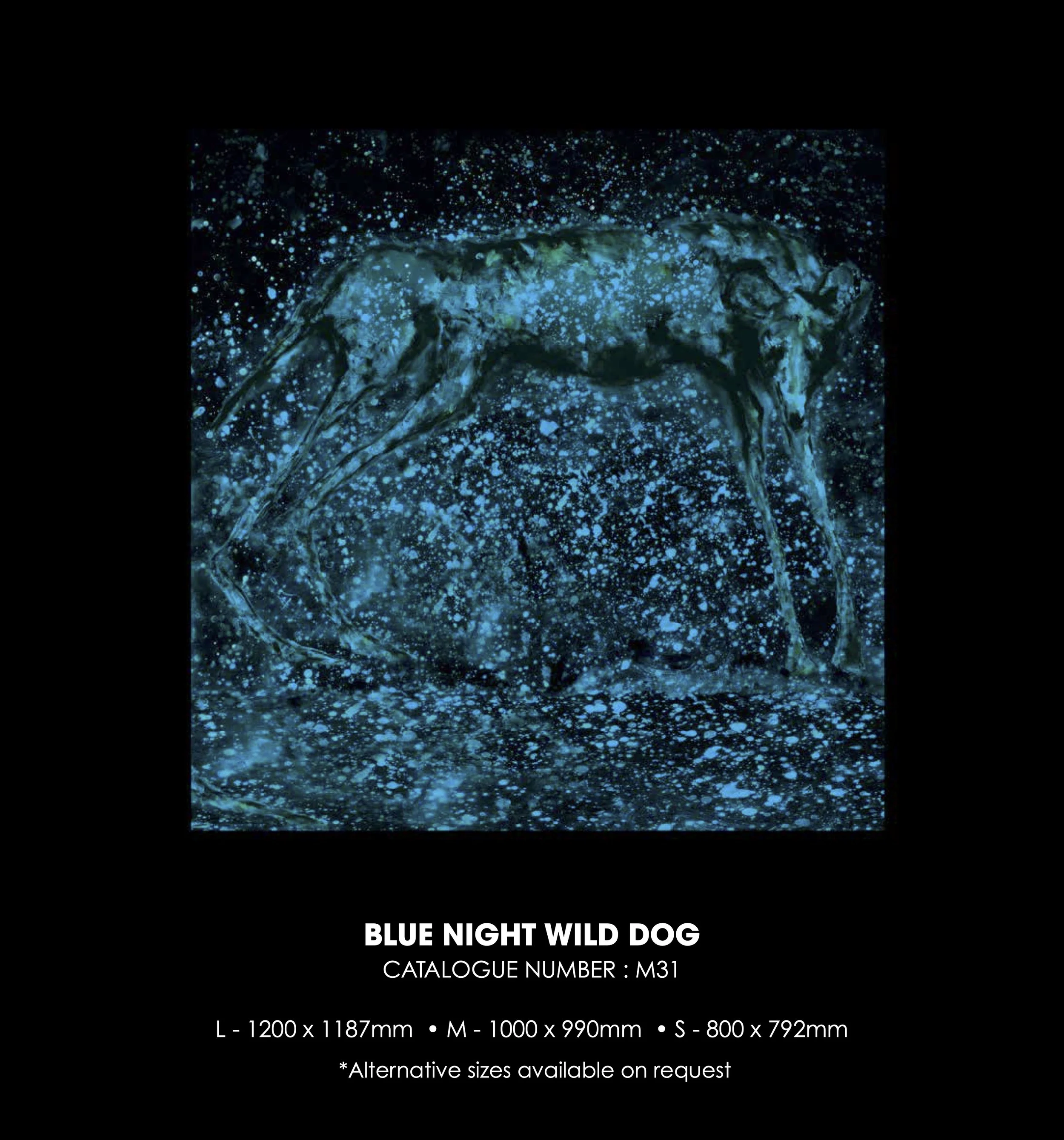 Blue Night Wild Dog (M31)