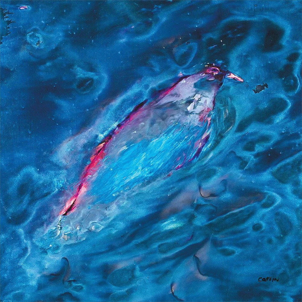 water bird1 40x40 with bleed (Large).jpg