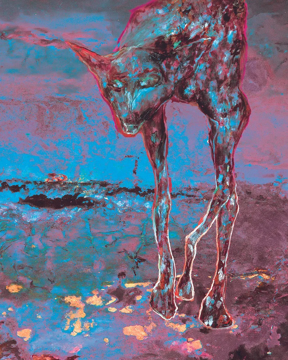 PINK DESERT WILD DOG - M34.jpg