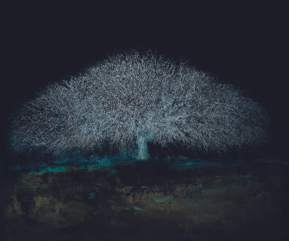 NIGHT TREE - A37.jpg