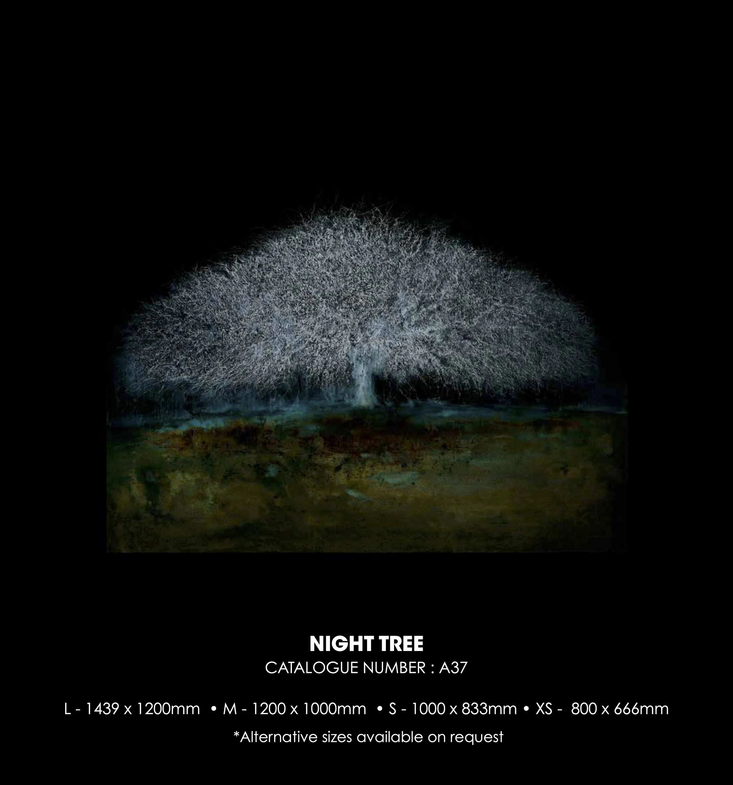 Night Tree (A37)