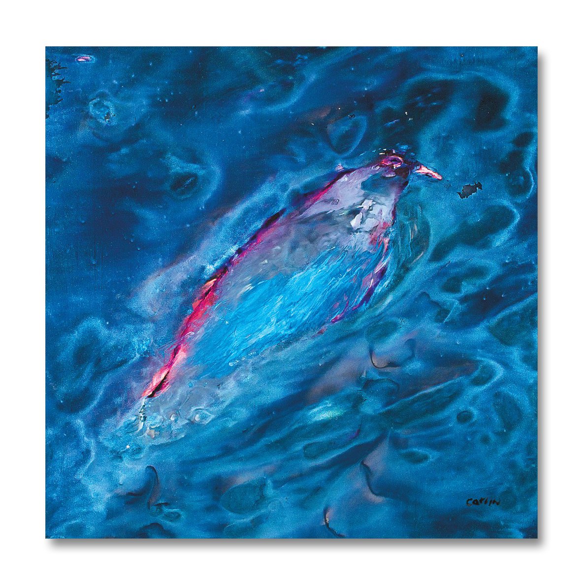 water bird1 40x40 with bleed (Large) - white border.jpg