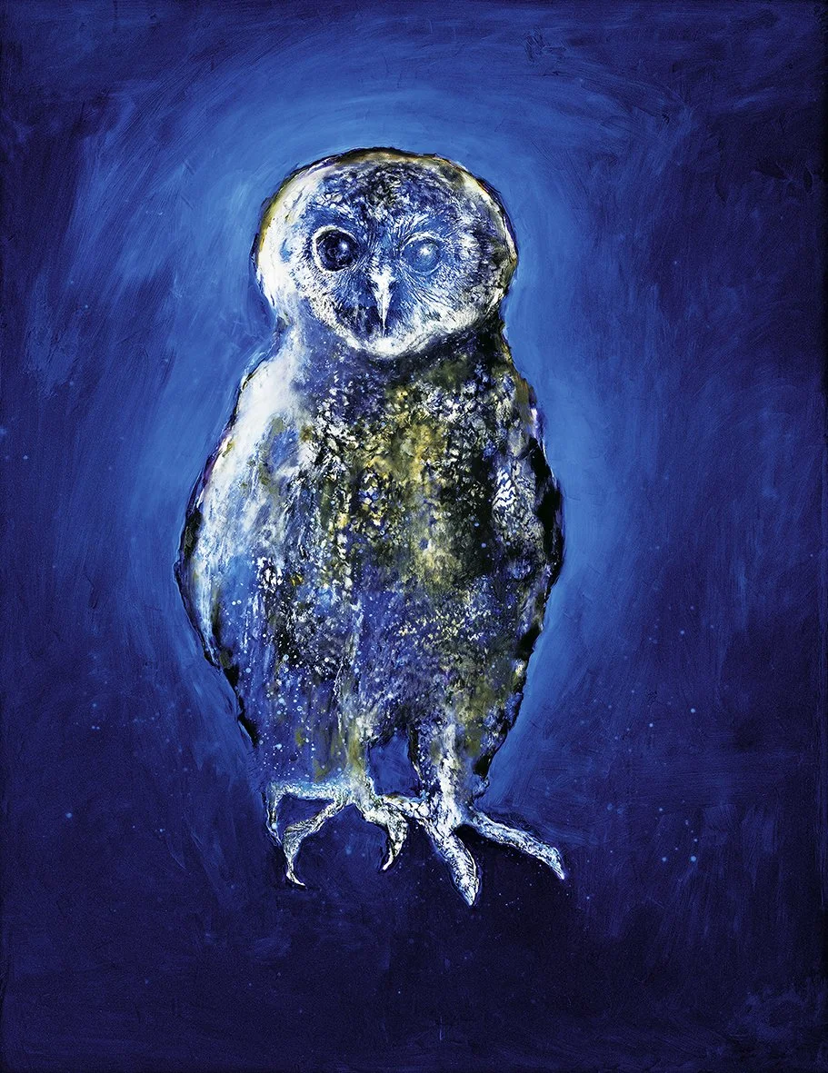 BLUE OWL - A15.jpg