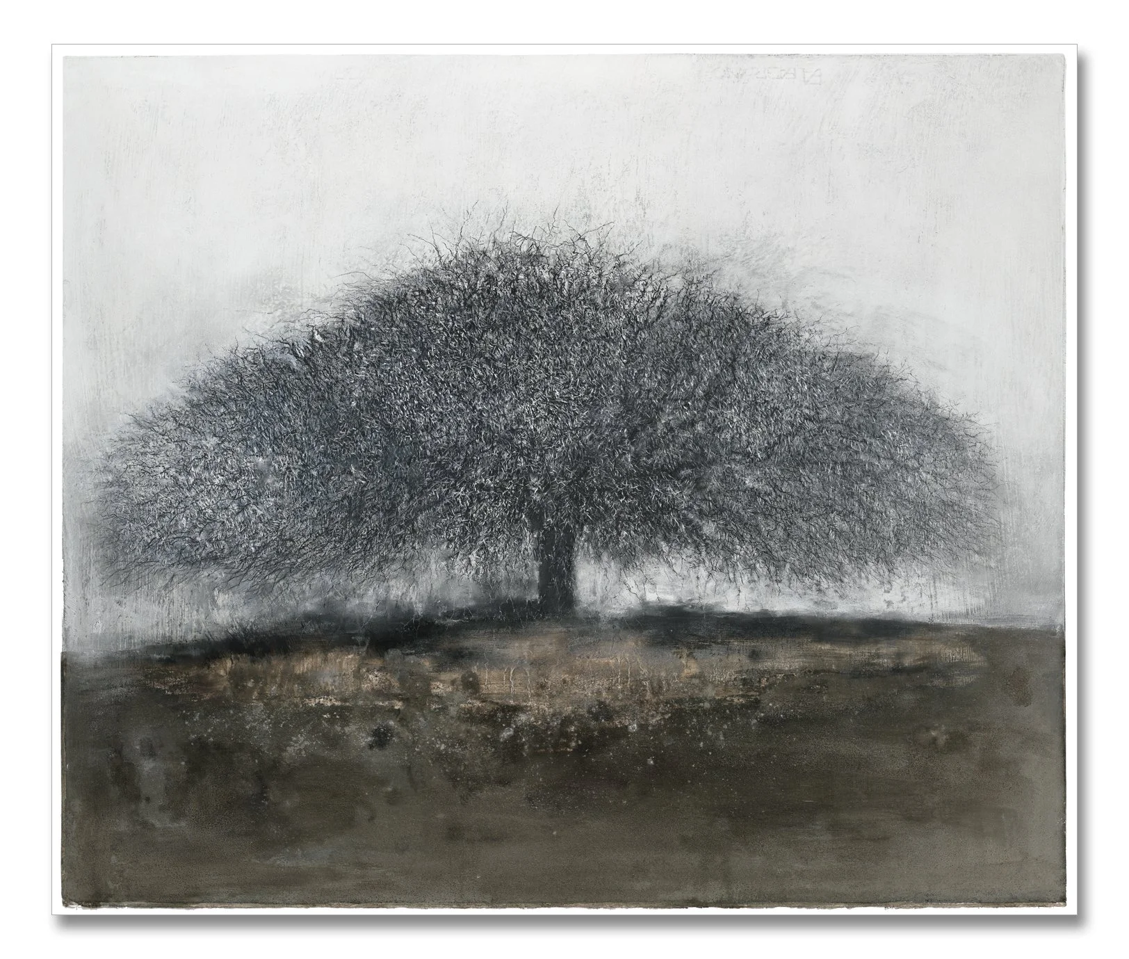 thorn tree original_drop shadow.jpg