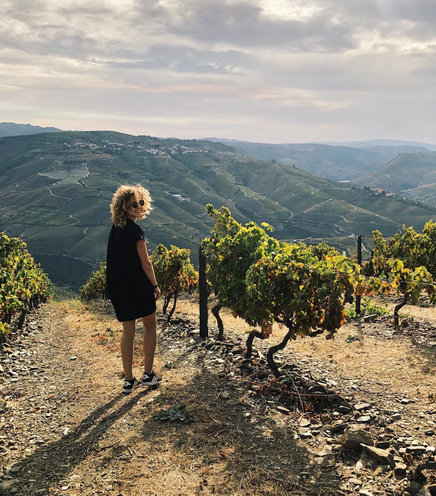 Old vines
Sweet grapes 
Big hair 
🍷
🍇
👩🏼&zwj;🦱
#duorovalley #portugal
