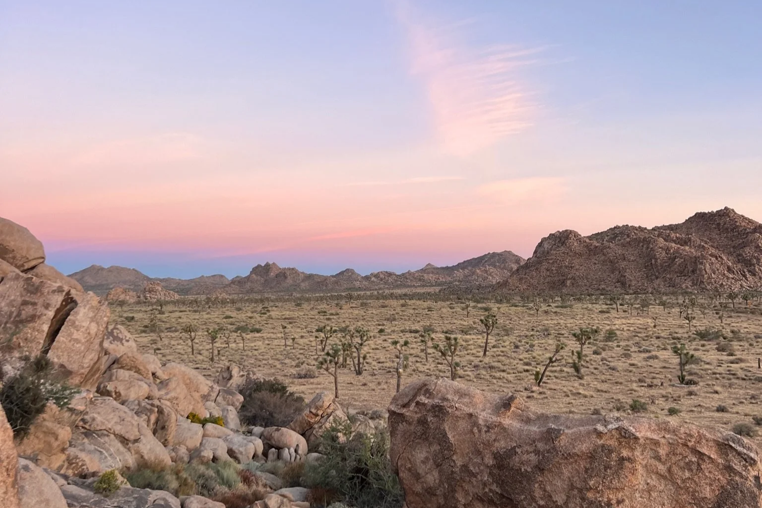 Desert landscape with rocky foreground, sparse Joshua trees, mountain range in the distance, and a colorful sunset sky with pink, purple, and blue hues.