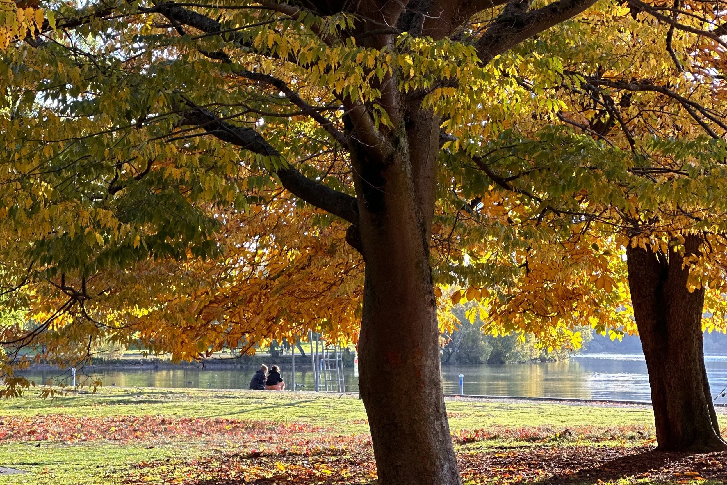 Two people sitting on the grass near a lake, surrounded by trees with yellow and orange fall foliage.