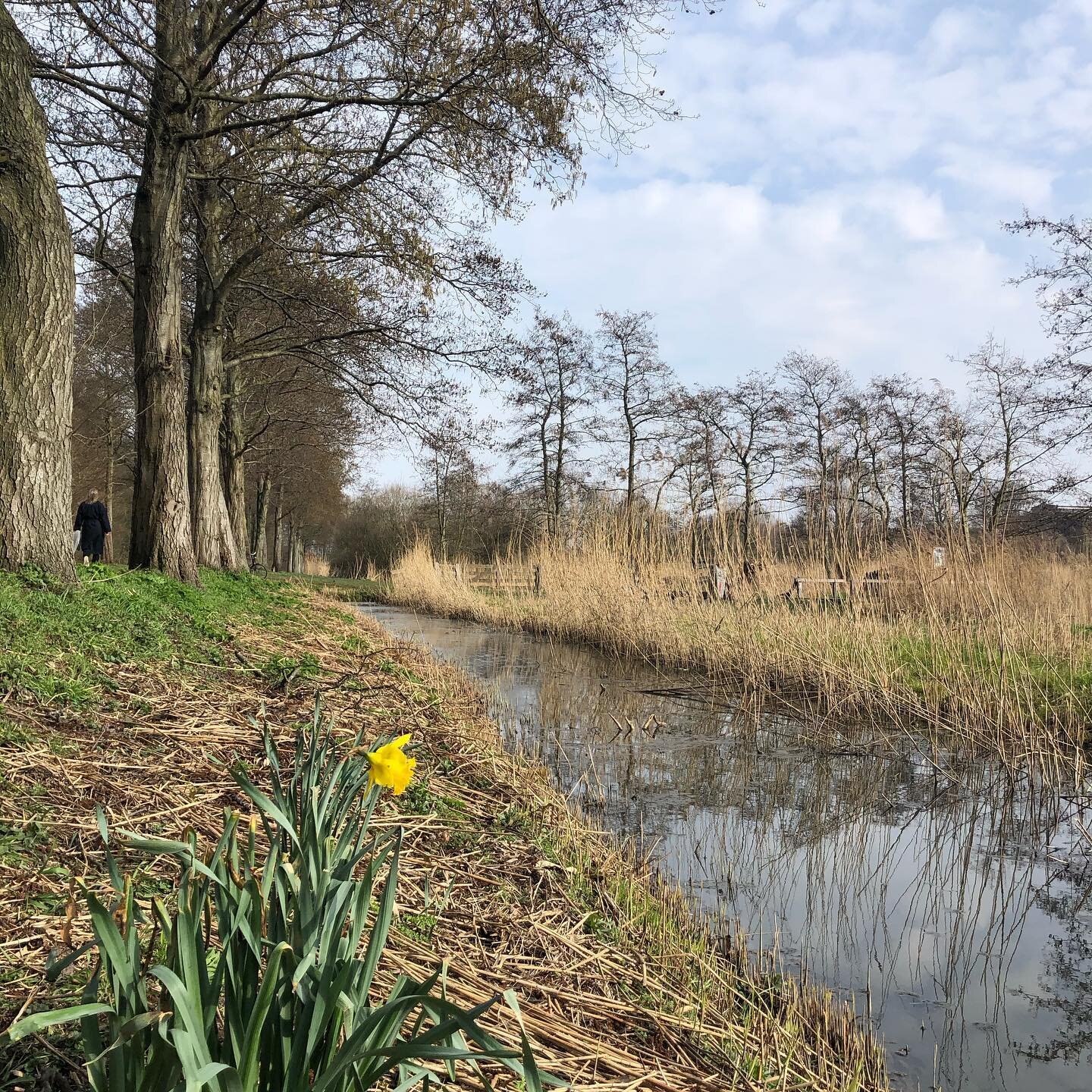 🌼Proof of Life🌼
Up here in the north, it&rsquo;s easy to get impatient this time of year. After nearly 6 months of short grey cold days, a change of season still feels slightly out of reach. 

The days in between winter and spring can feel like an 