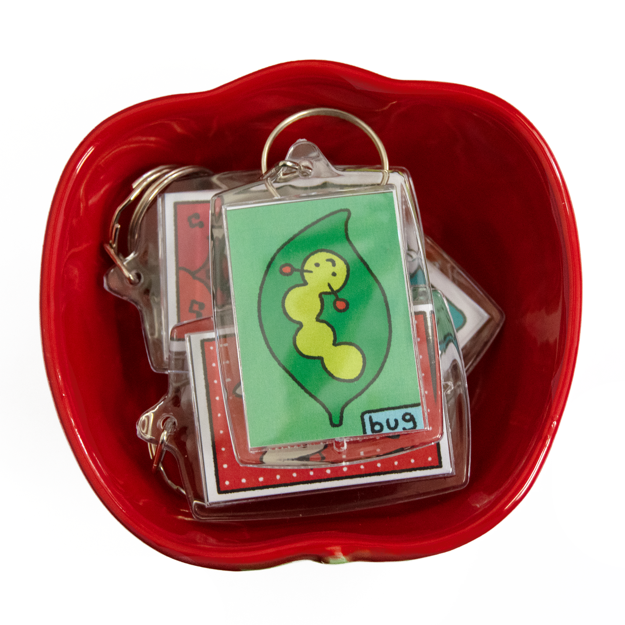 bug framed keychain