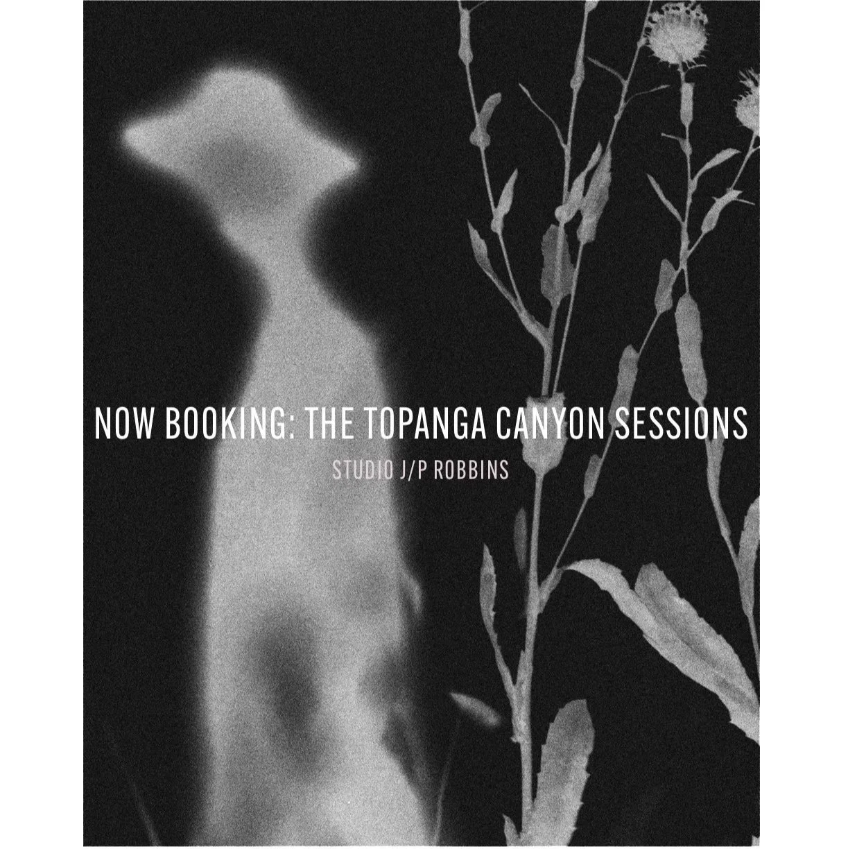 reel-topangacanyonsessions01.jpg