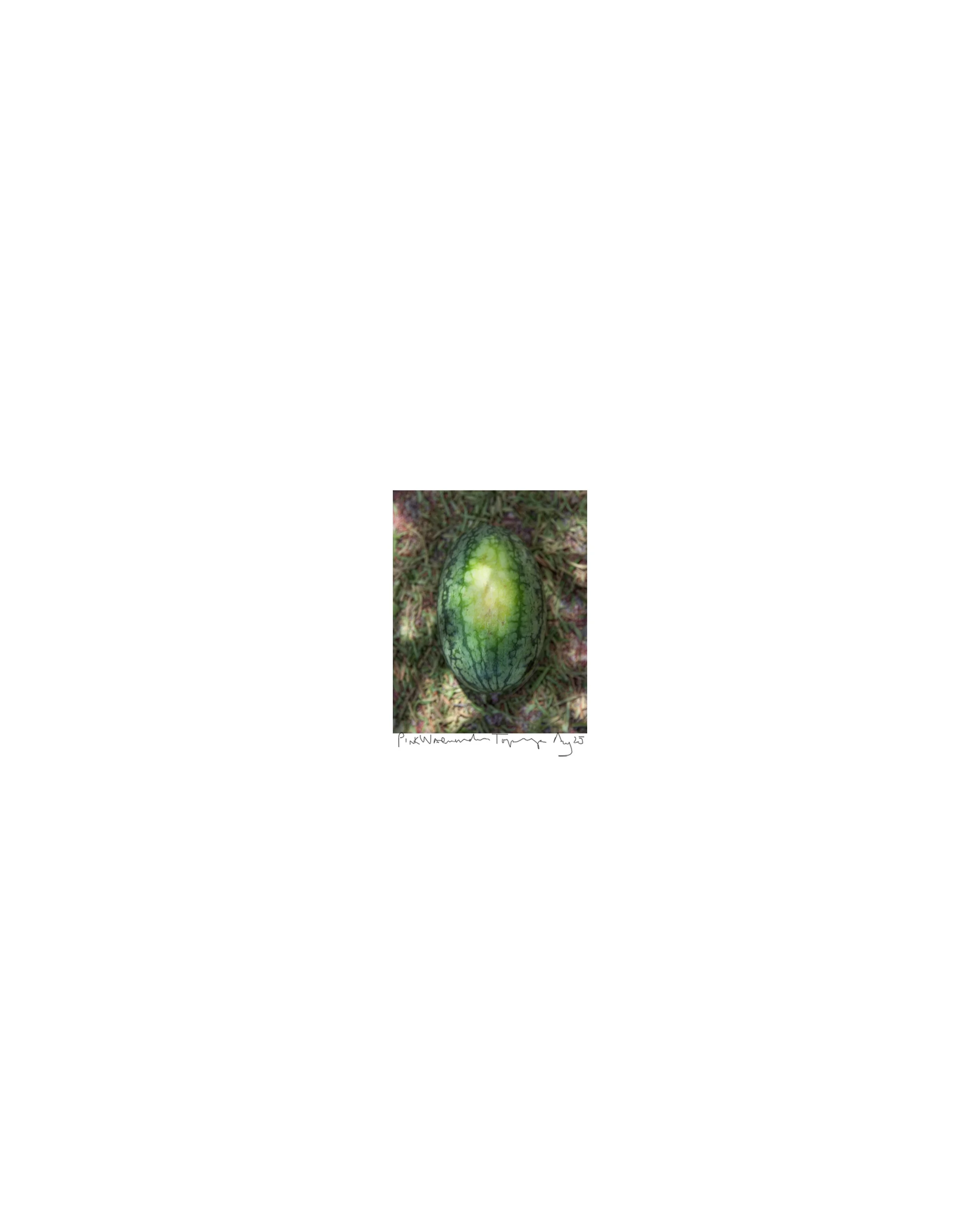 20250819_topanga-watermelon_0019-borderbig.jpg