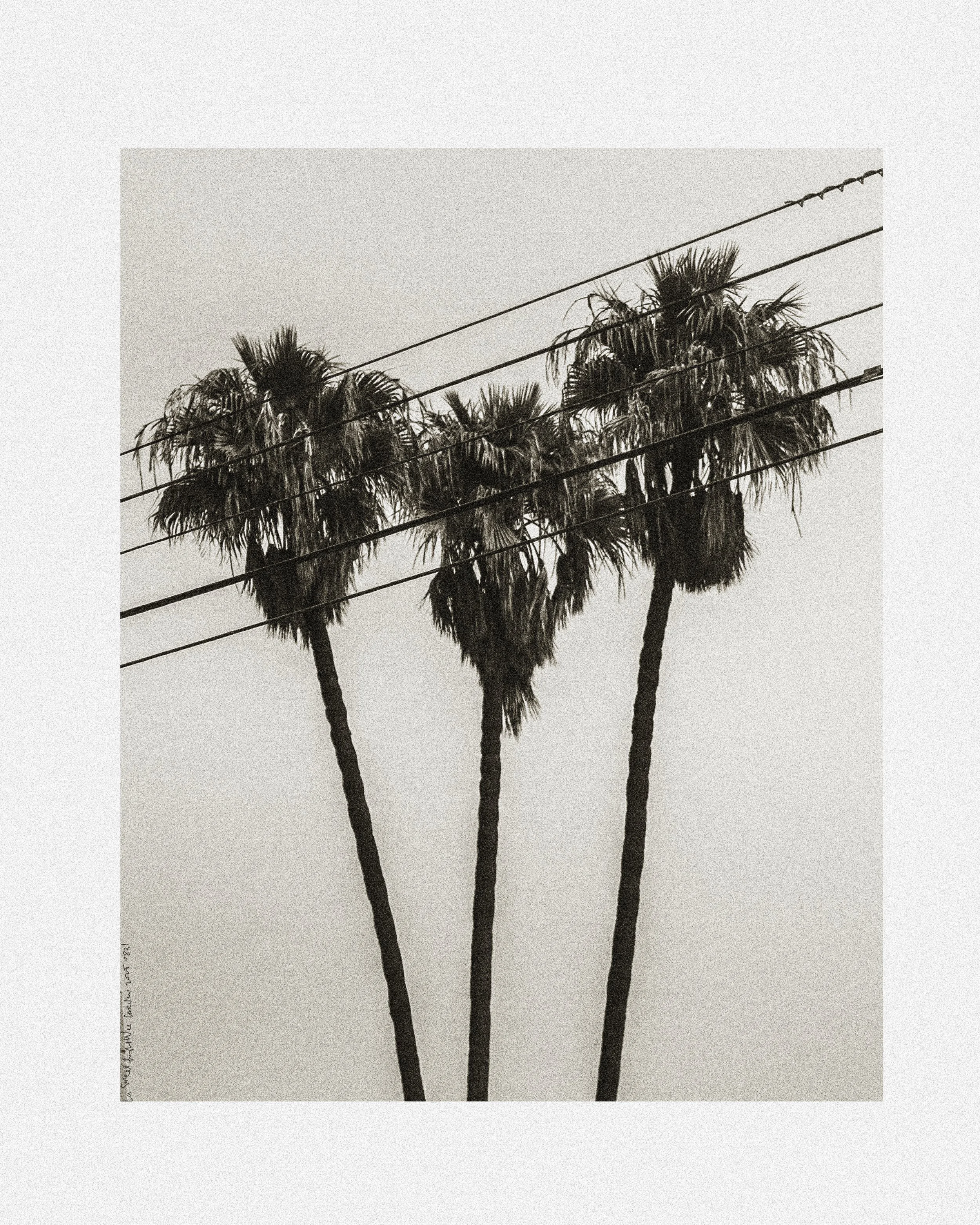 20250831_la-streetlight_7210-border-text.jpg