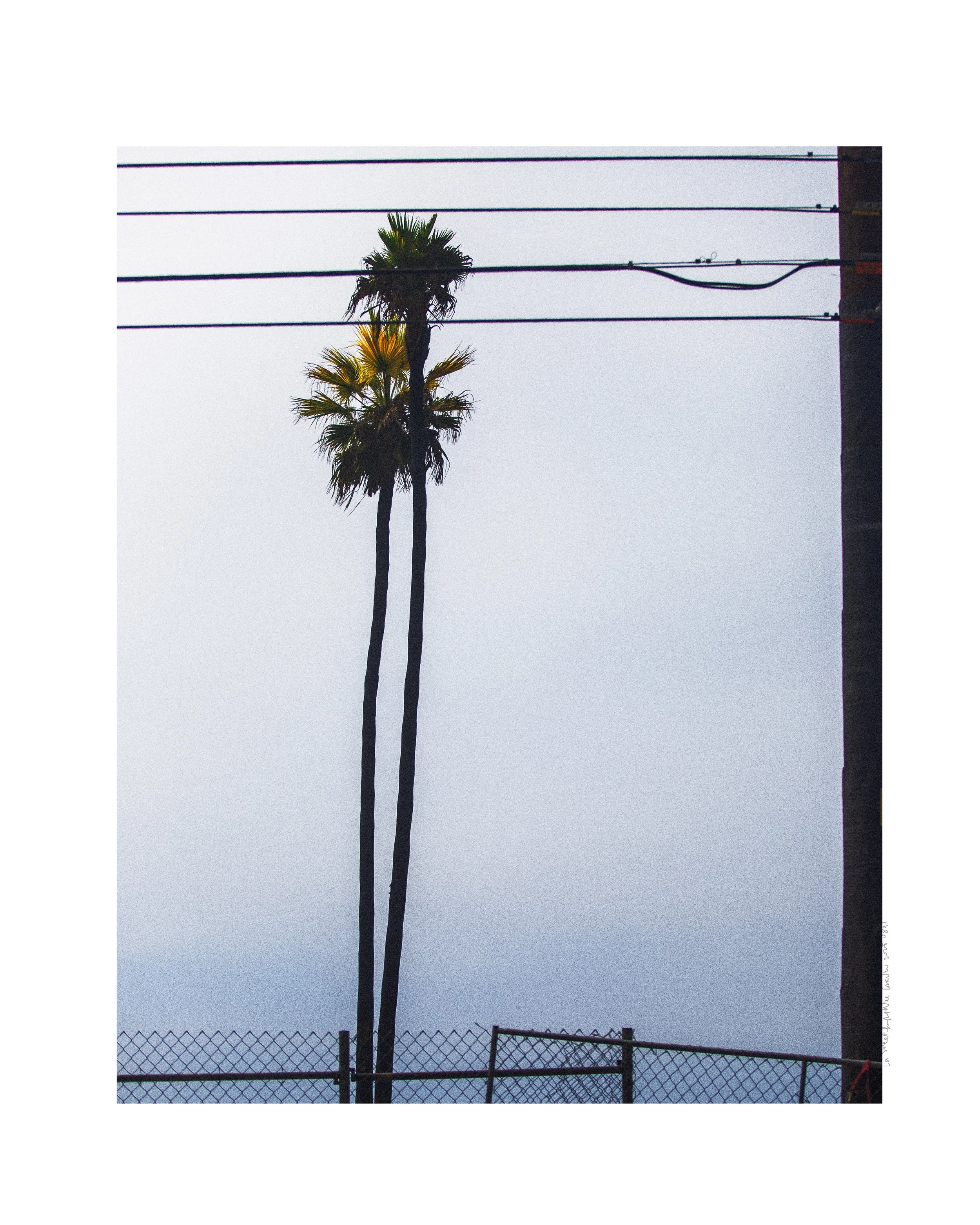 20250831_la-streetlight_7223-text-border.jpg