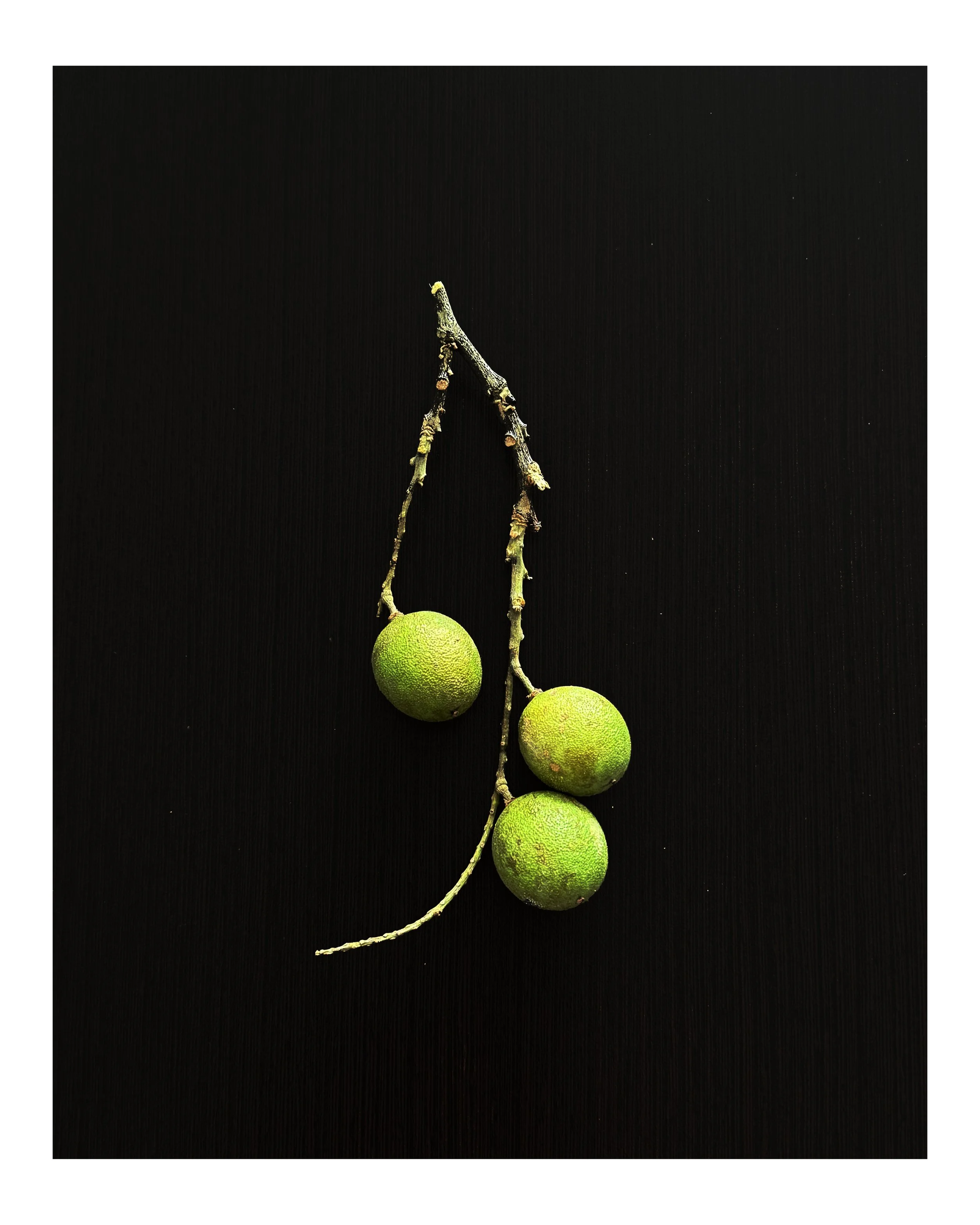 'a photo a day' Colombia fruit still life