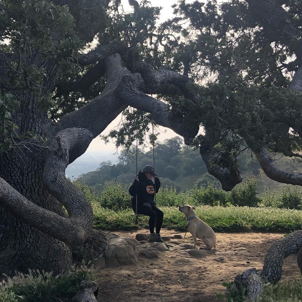 Are you letting life happen to you?