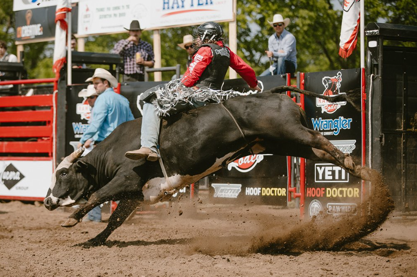 Holmdale Pro Rodeo