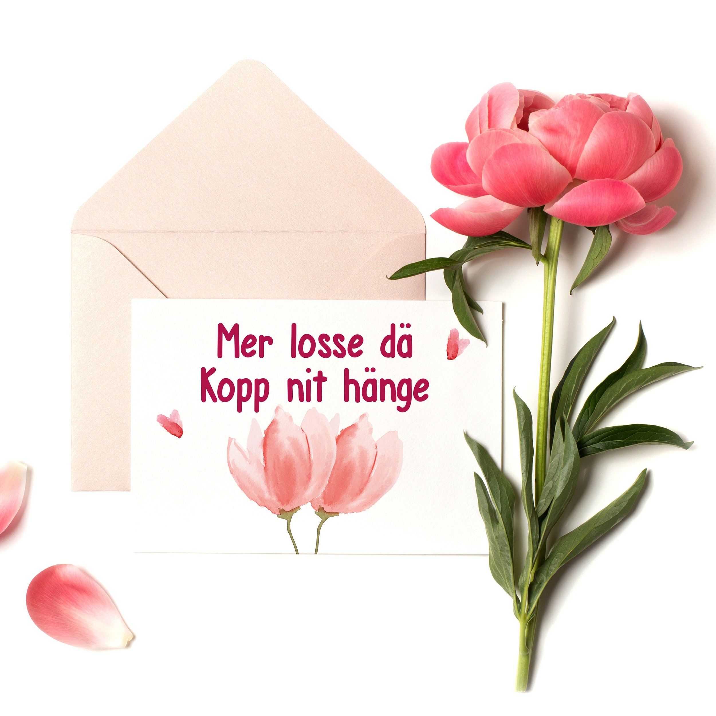 https://i.etsystatic.com/18029984/r/il/1f0865/3008174065/il_fullxfull.3008174065_jz91.jpg