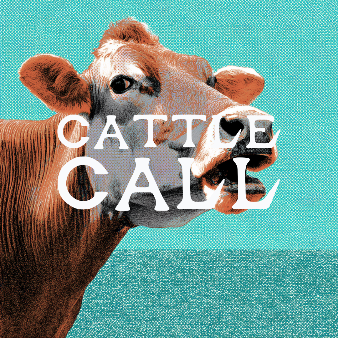 Cattle Call