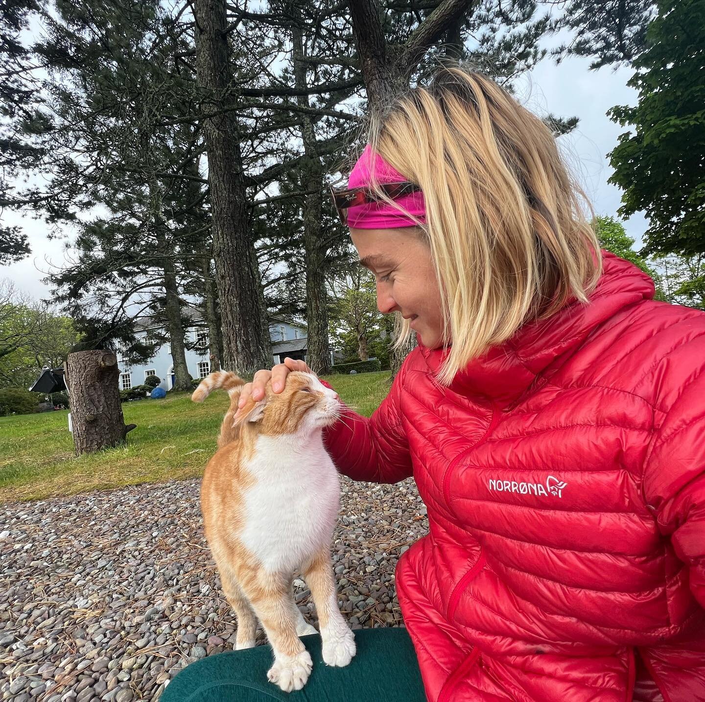 exploring Southern Ireland! making profiteroles! staring lovingly into the eyes of a beautiful cat! etc. etc. etc.