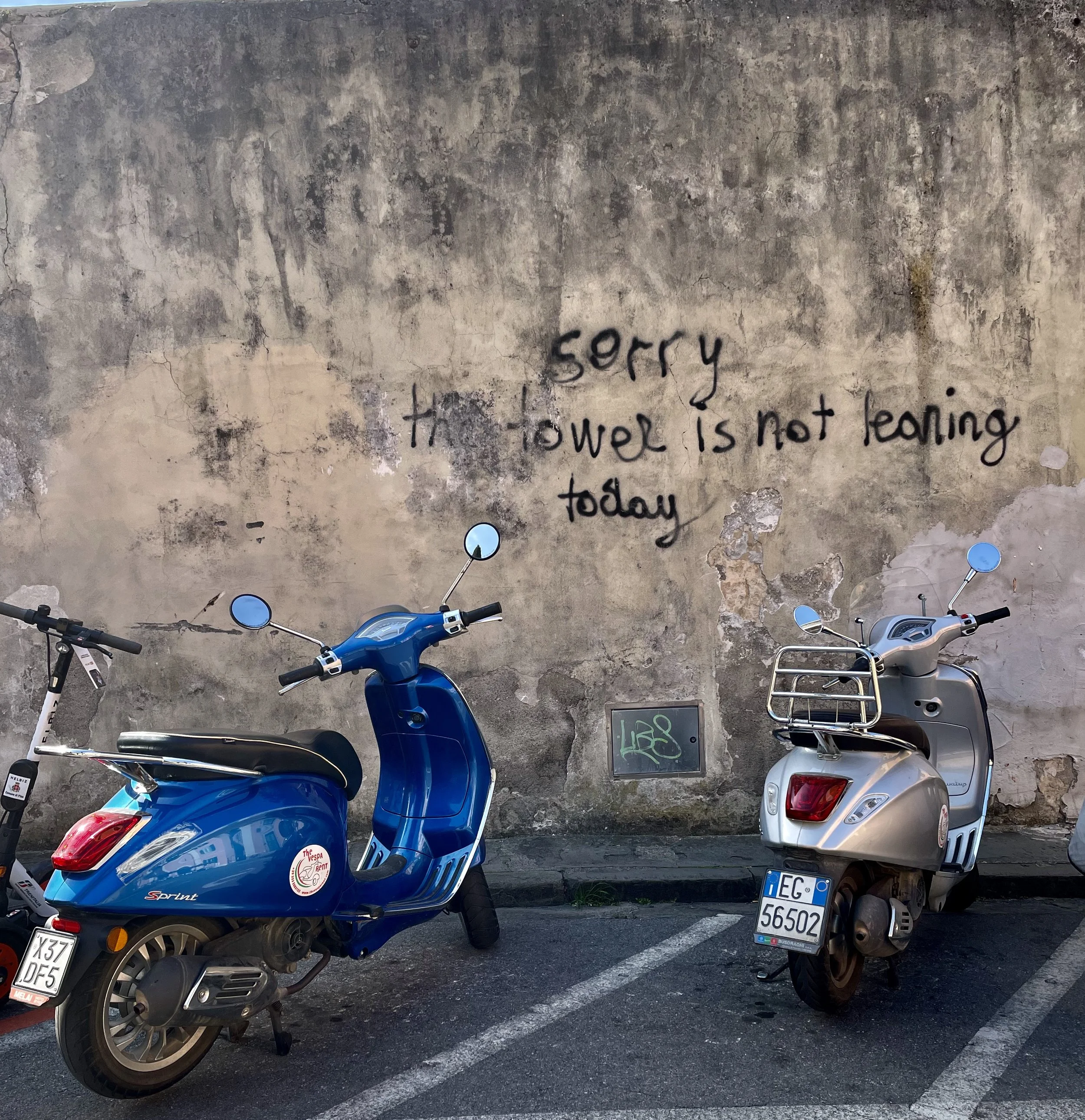 Pisa, Italy — Leena Naimeh