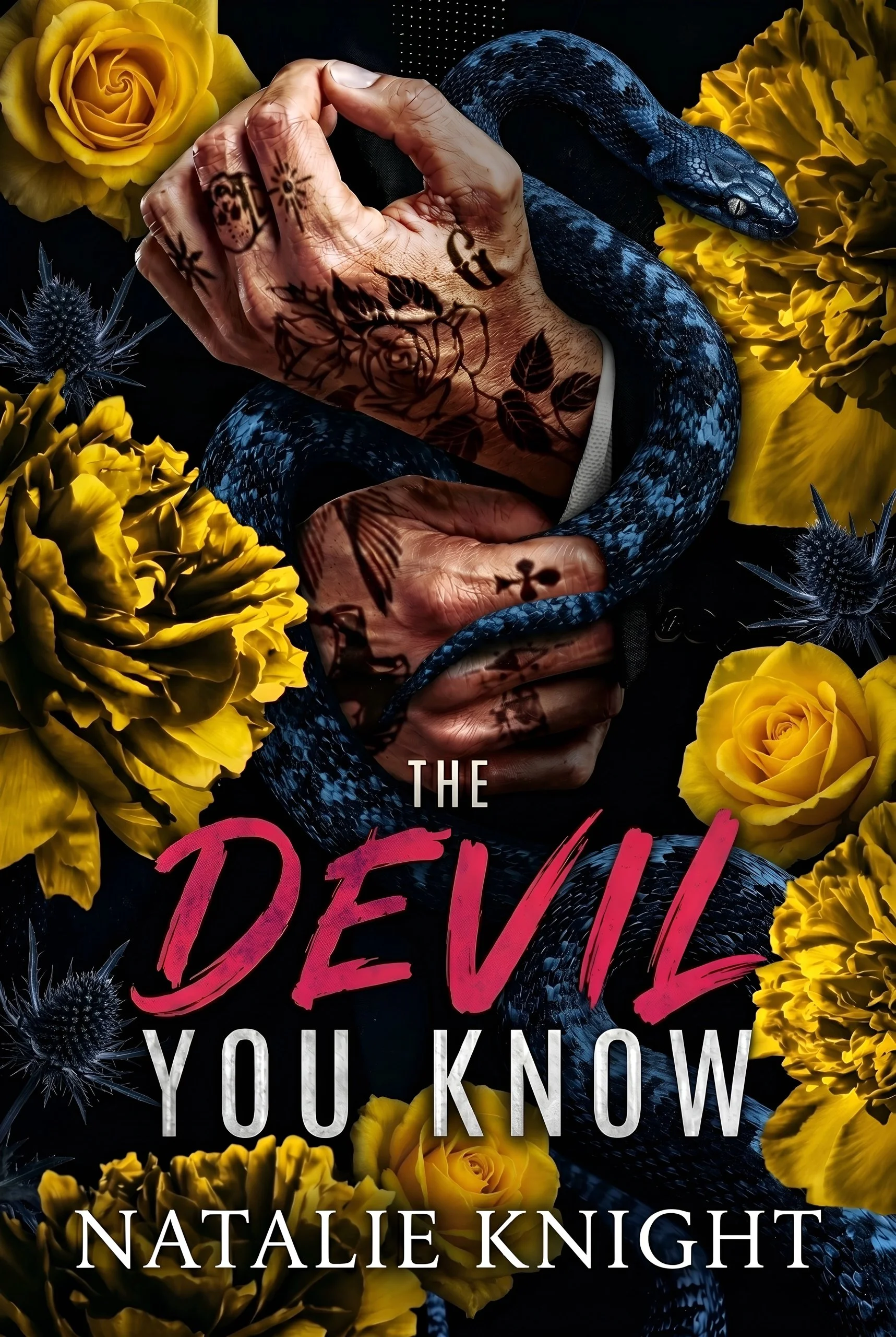 The-Devil-You-Know-Kindle.jpg