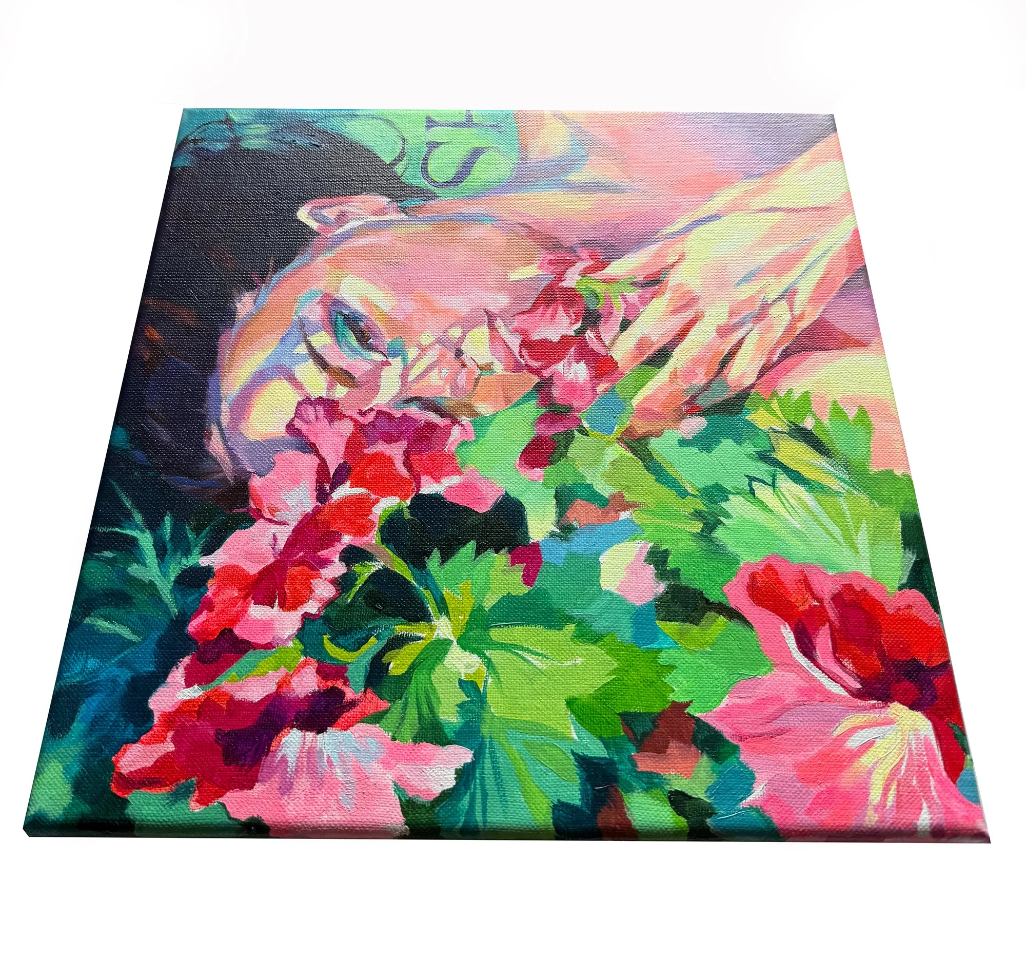 Joanna Pilarczyk_small painting_wall.jpg