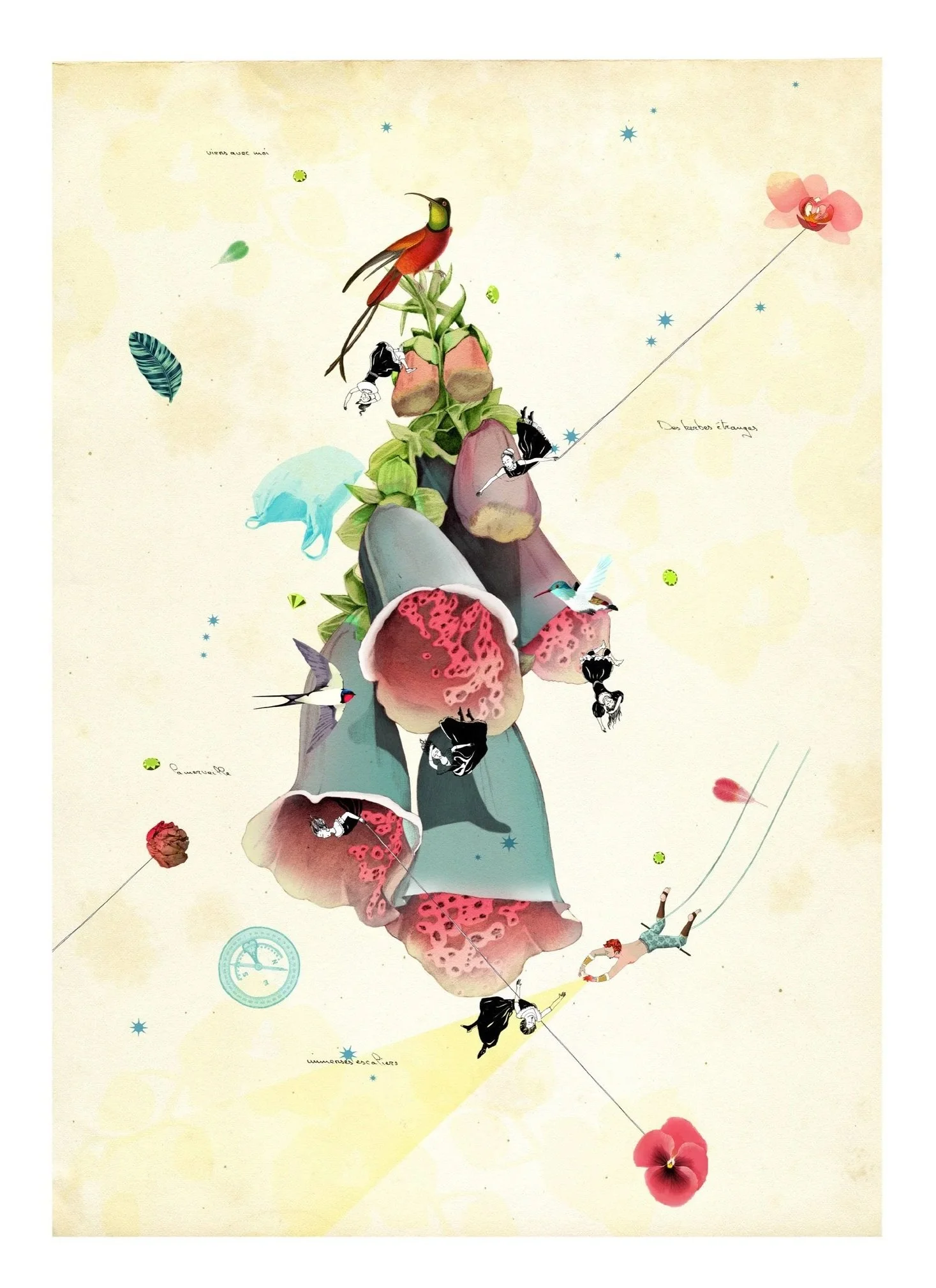 Le Trapéziste / 2015 / Giclée print on Hahnemulhe Photorag paper / edition of 50 / 59.4x84.1cm