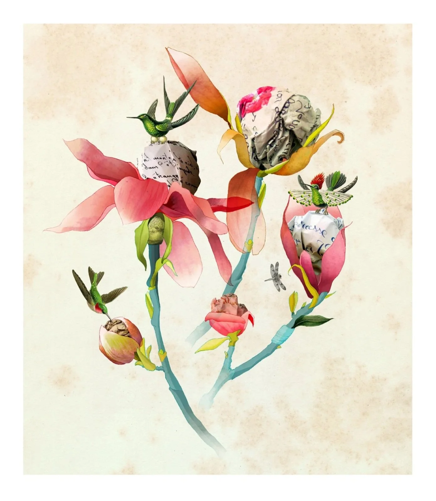 Magnolias / 2014 / Giclée print on Hahnemulhe Photorag paper / edition of 35 / 51x61cm