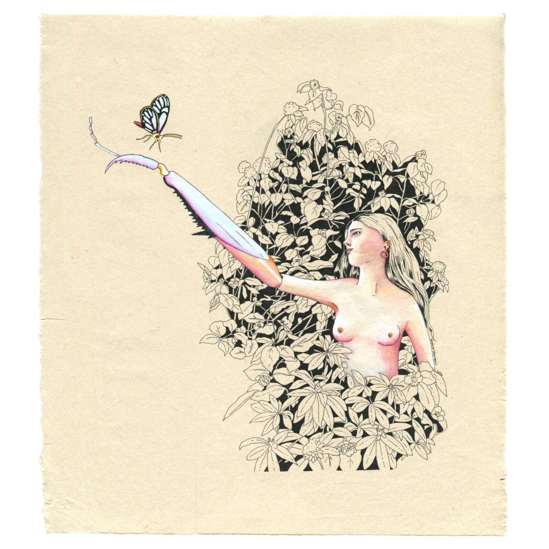 Caress / 2024/ Ink, watercolour and acrylic on Hemp paper / 31.5x35cm