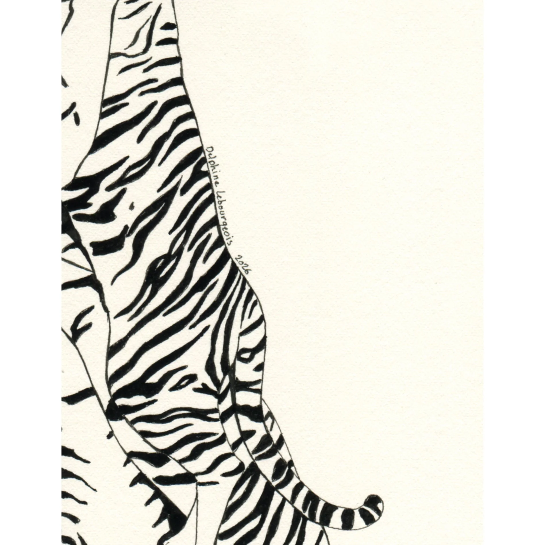 Bellowing DRESS_detail2_square.jpg