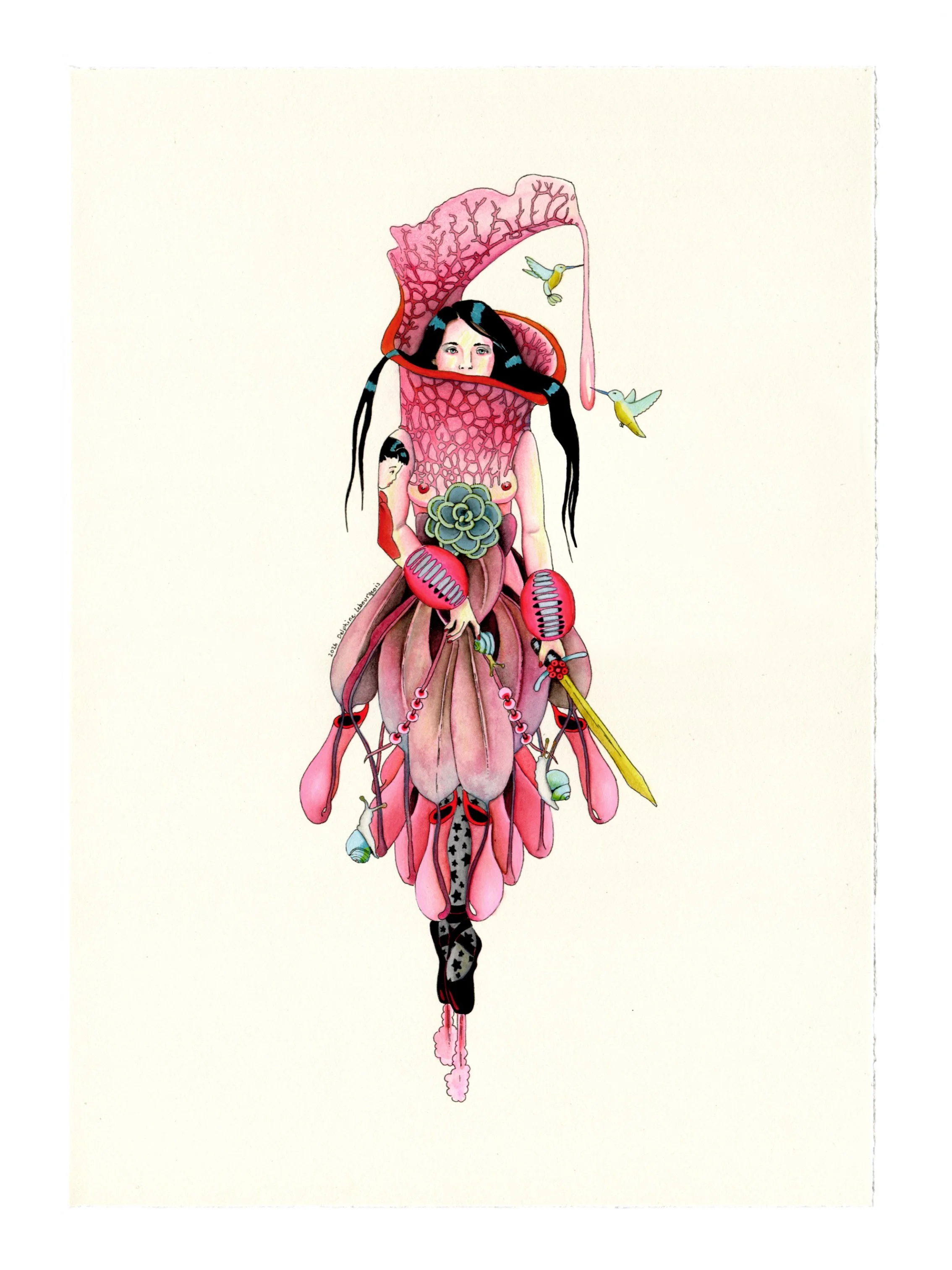 Pitcher Ballerina | 2026 | Ink, watercolour and acrylic on Fabriano Paper | 25x35cm 