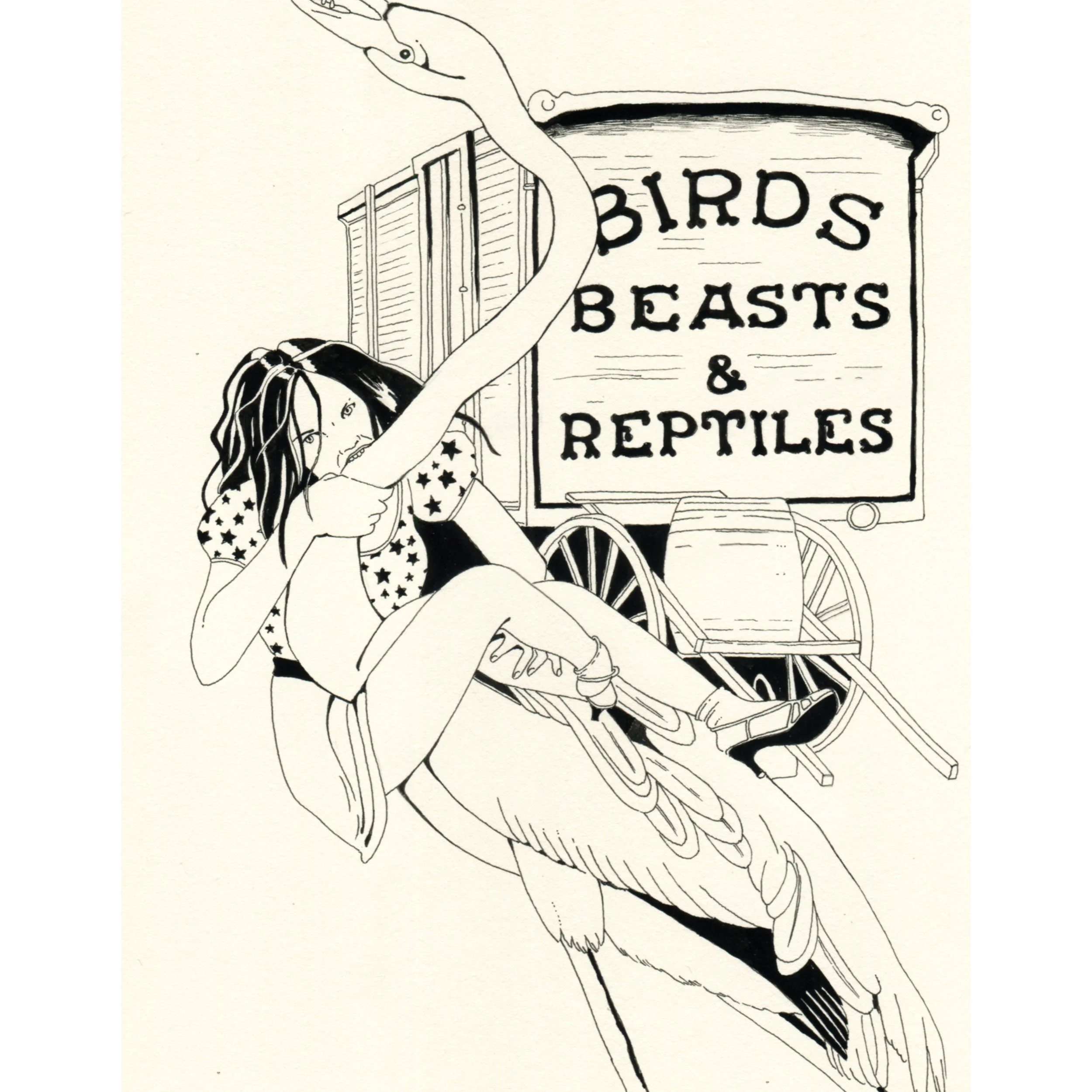 Birds, Beasts and Reptiles_detail1_square.jpg