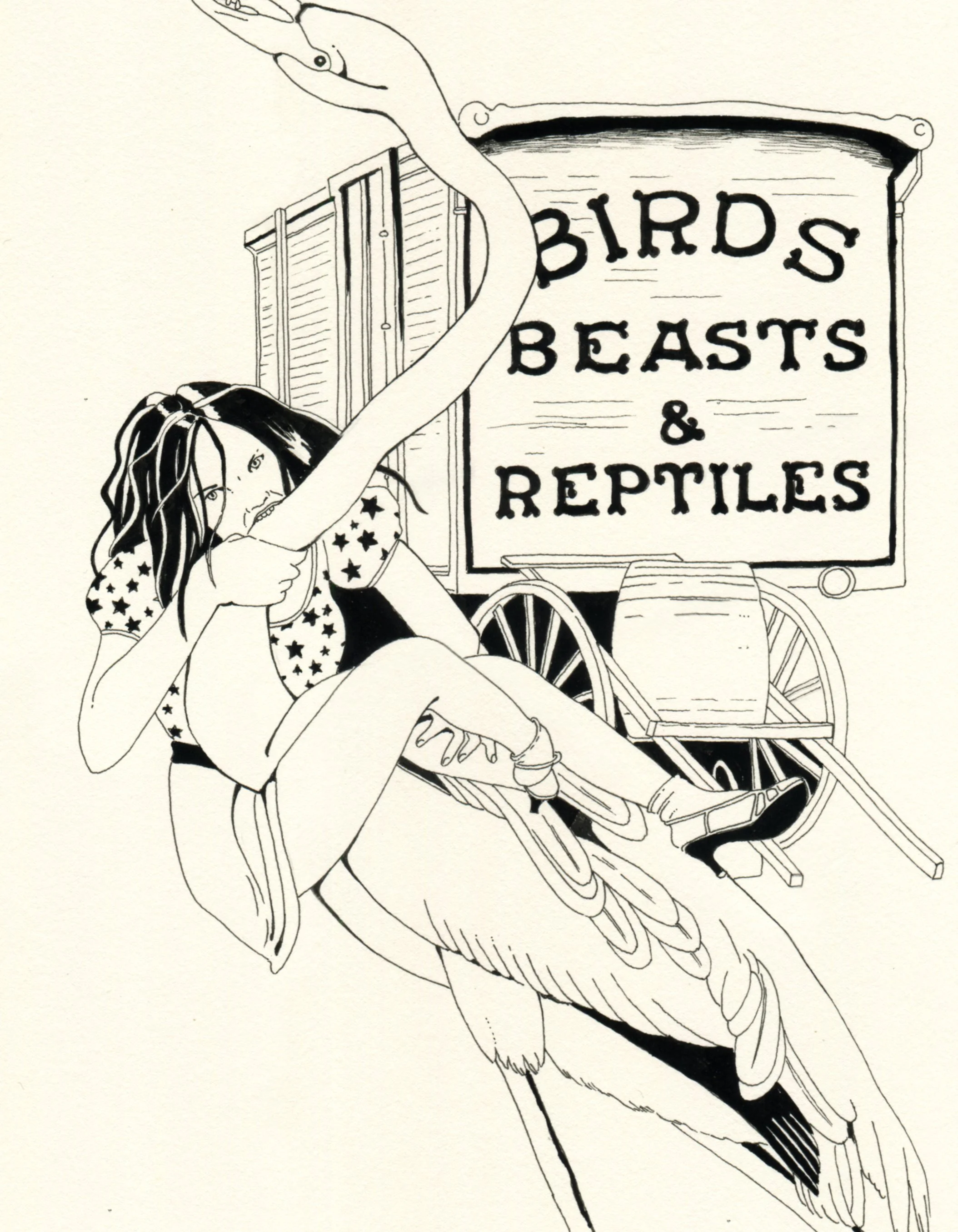Birds, Beasts and Reptiles_detail1.jpg