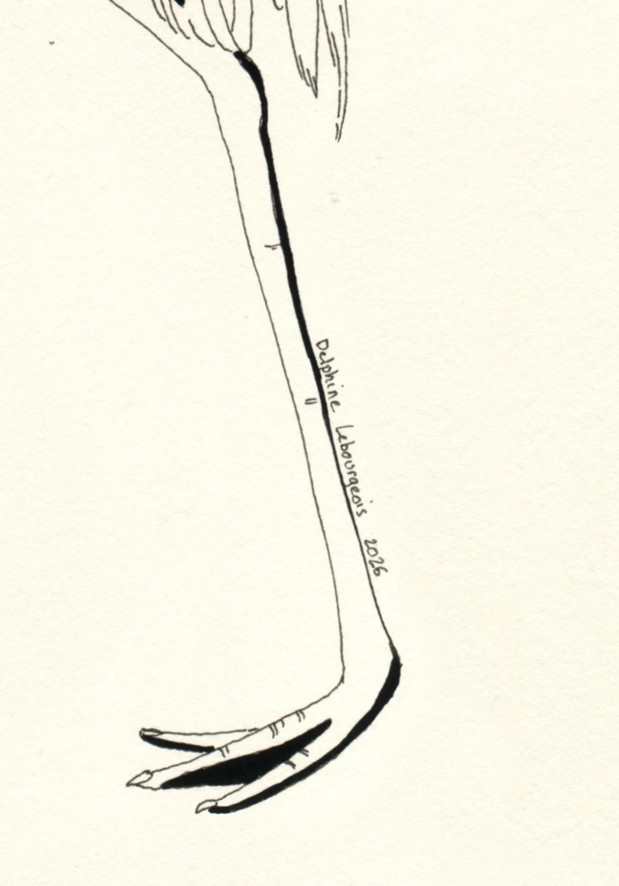 Birds, Beasts and Reptiles_detail2.jpg