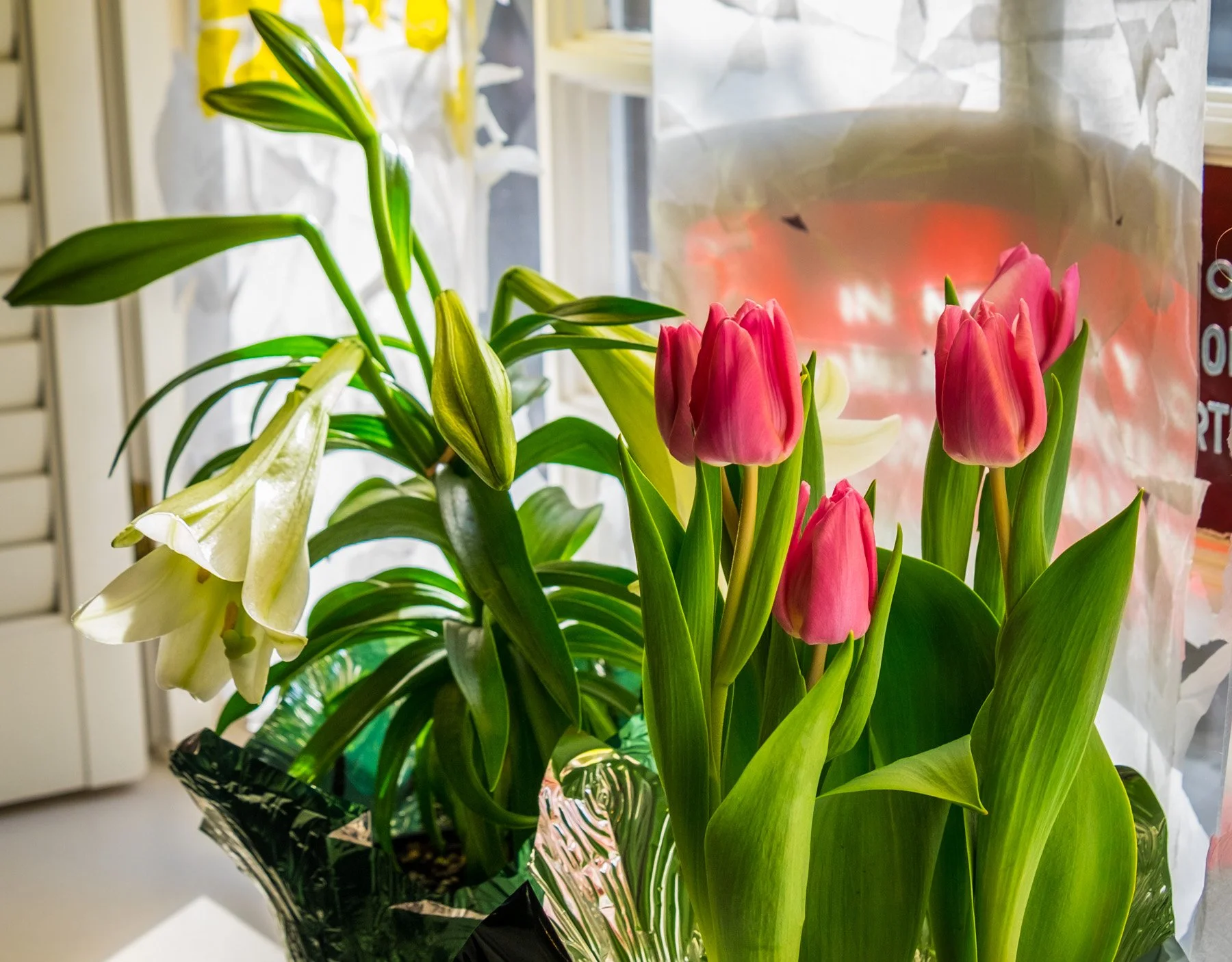 EASTER SUNDAY WORSHIP SERVICES