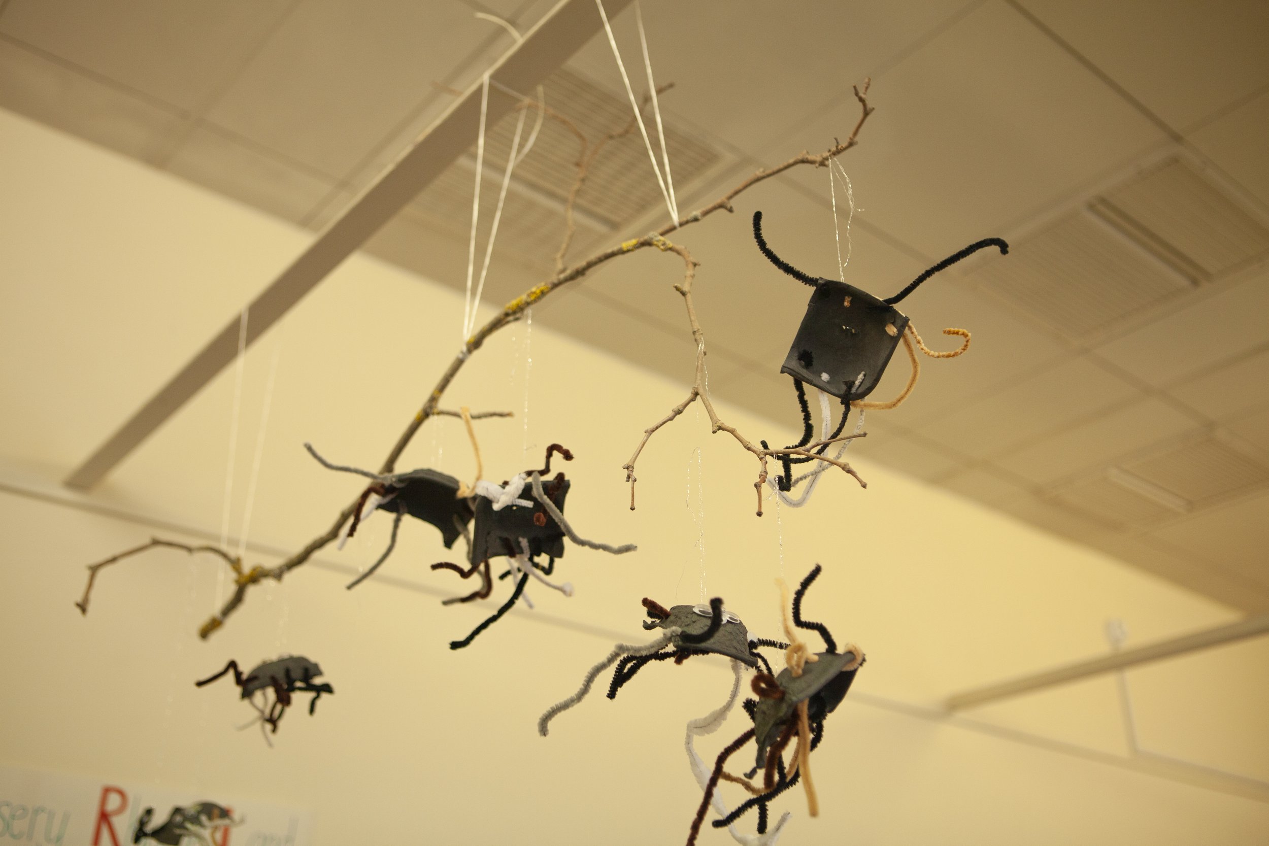 Spiders.jpg