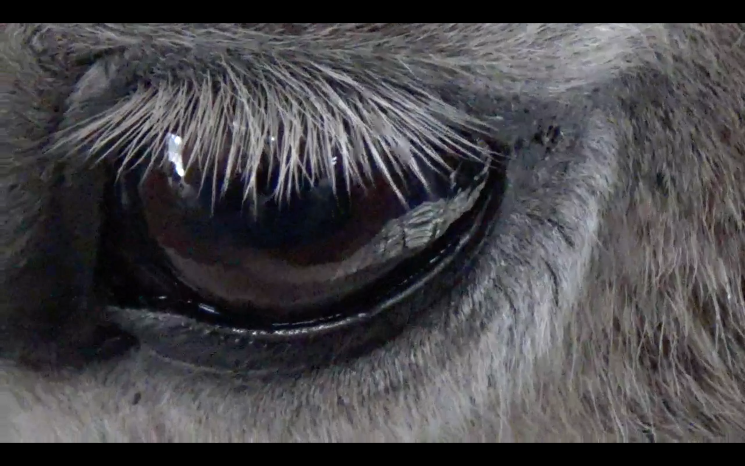 Screen Shot 2017-07-26 at 10.39.34 AM.png