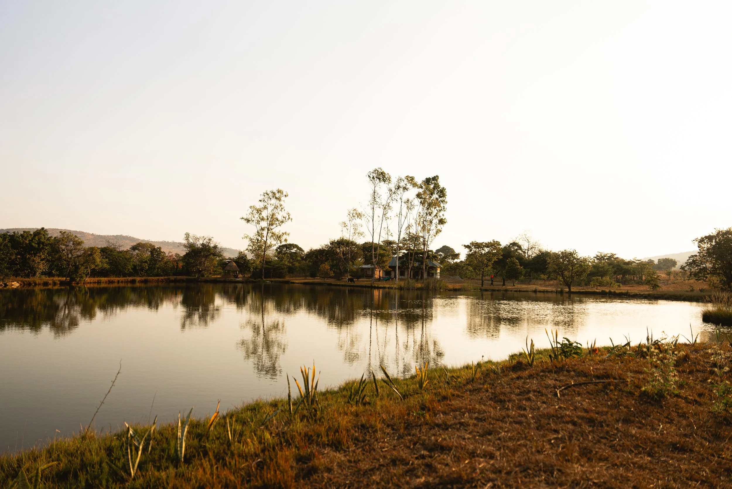 A peaceful landscape with a calm body of water reflecting trees and a house, surrounded by a dry, grassy bank and distant hills.
