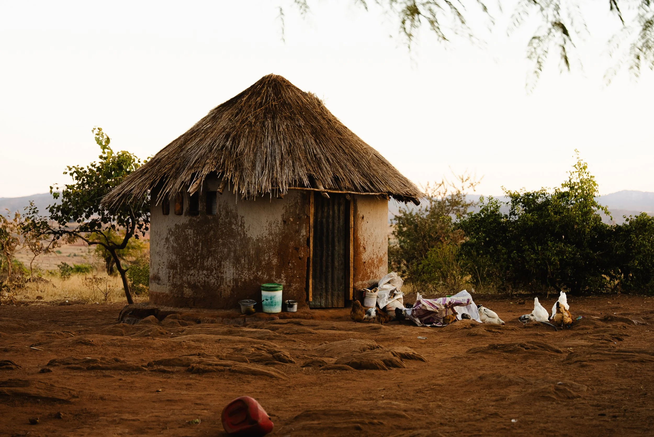 A small round mud hut with a thatched roof in a rural setting, surrounded by dry soil, trees, and bushes.