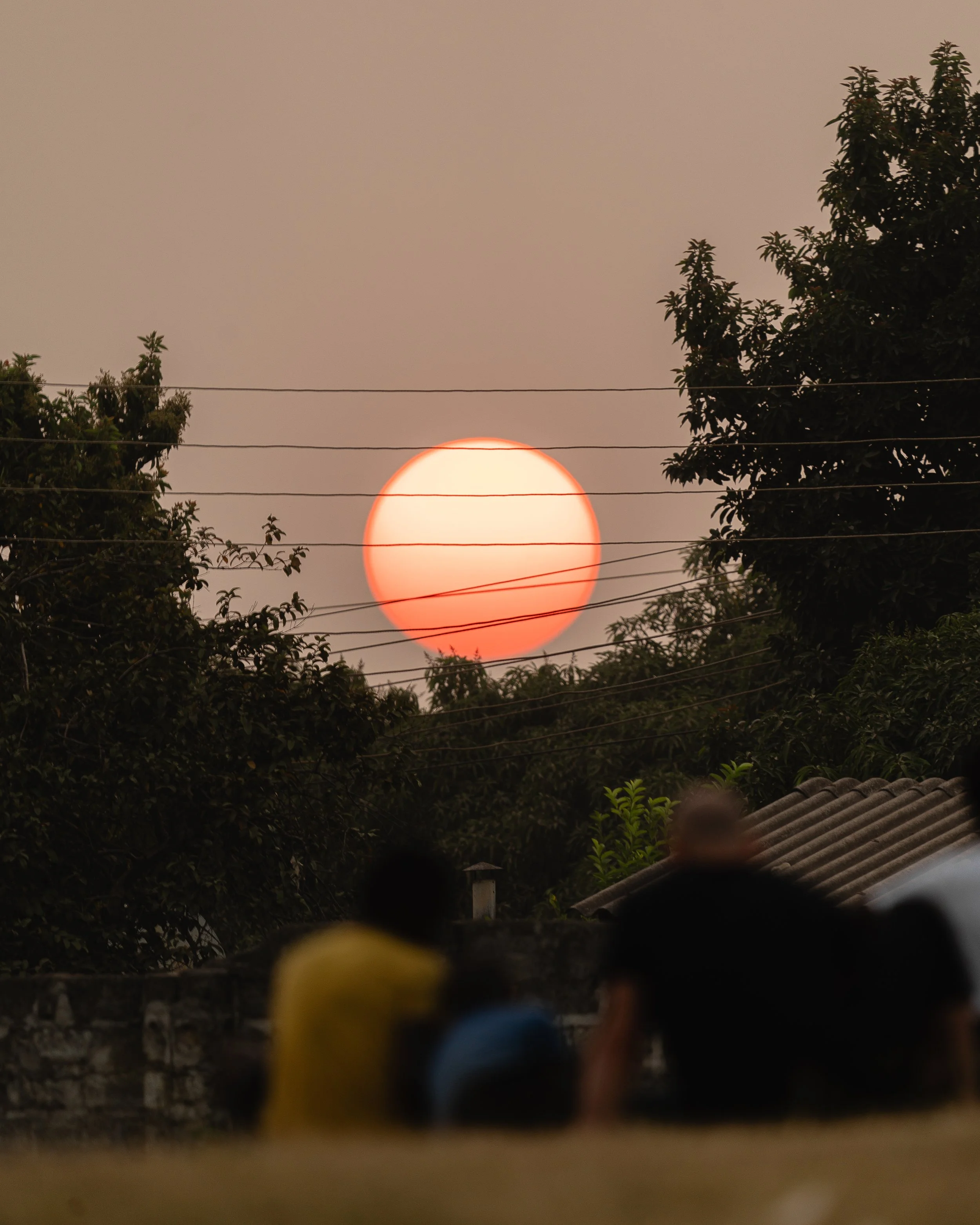A sunset or sunrise with a large orange sun visible through tree branches and power lines, with several blurred people in the foreground.