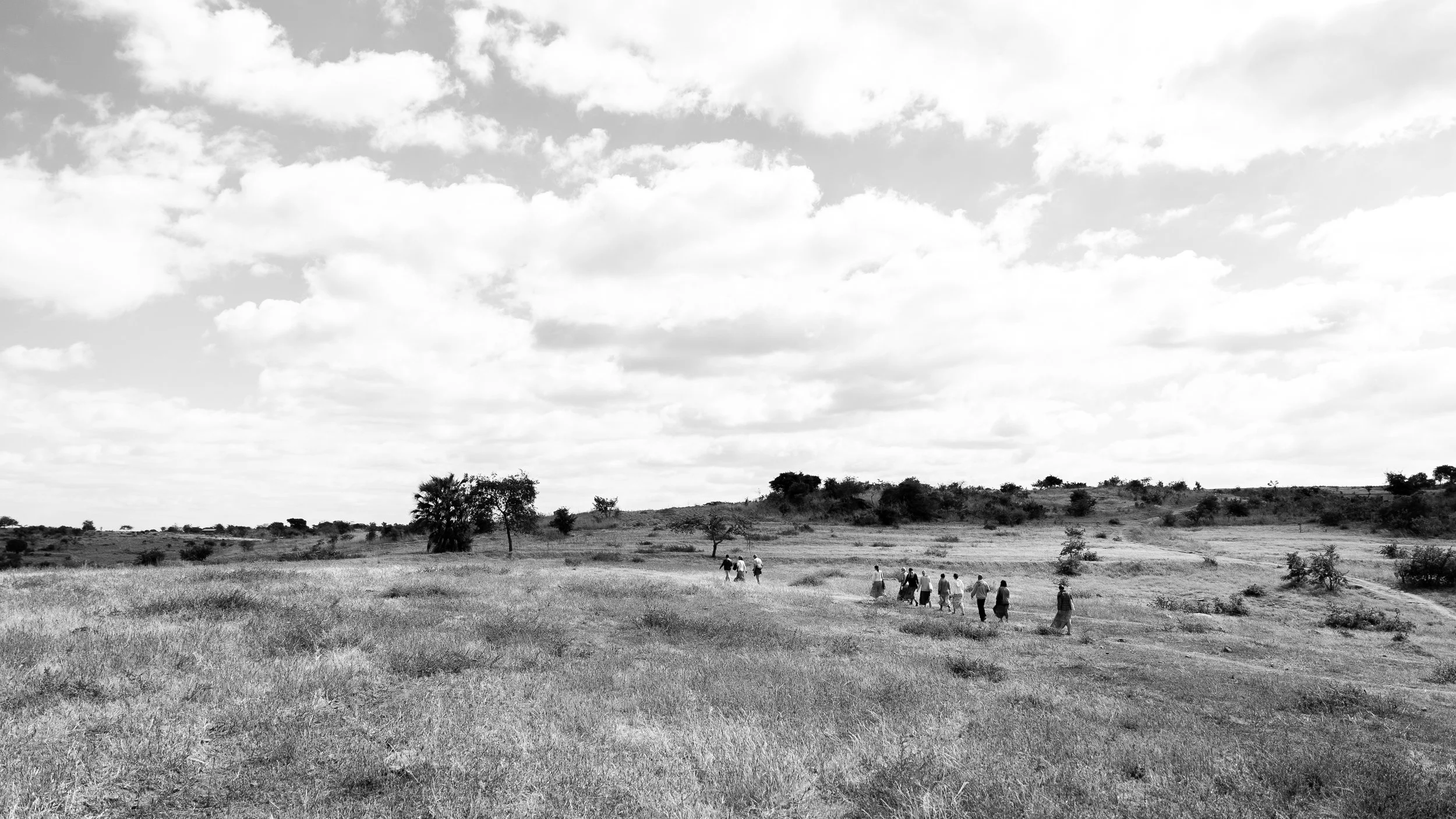 People walking across a grassy plain with scattered trees under a partly cloudy sky.