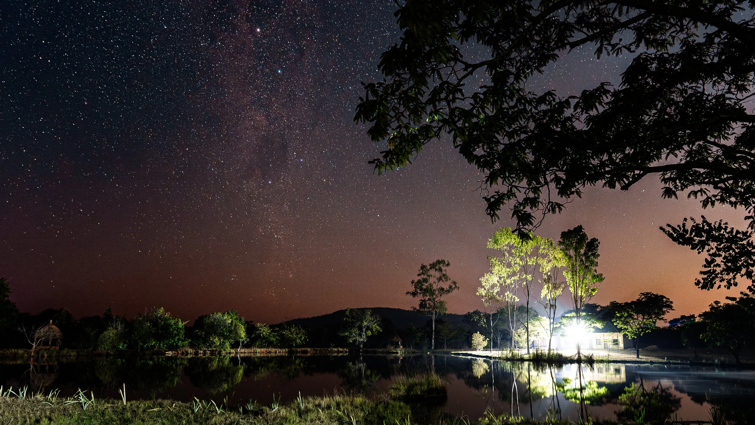 Nighttime scene of a lake with trees illuminated by a bright light, mountains in the distance, and a starry sky including the Milky Way.