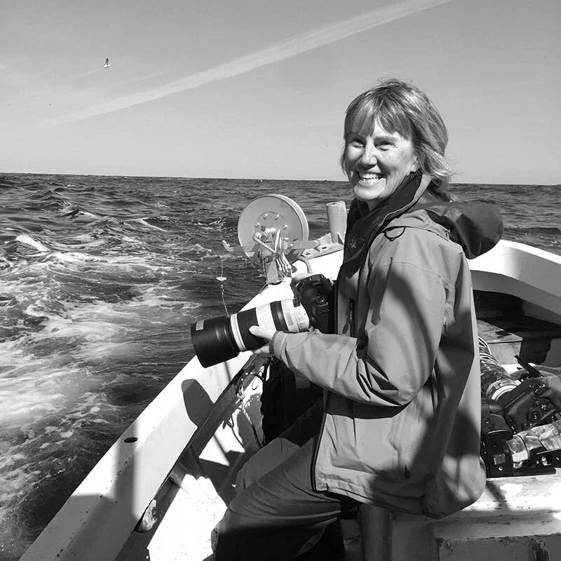 Gail Bisson