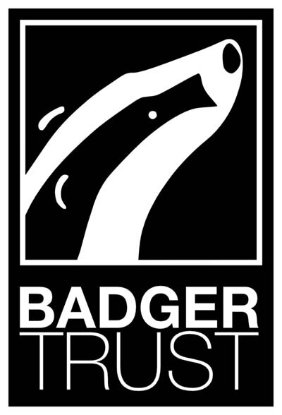 BadgerTrust-logo.jpg